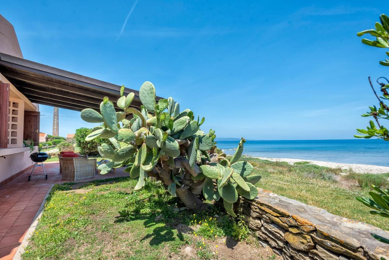 Sardinia Re - Villino Maja Villa Stintino Exteriör bild